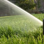 rain-bird-rotor-body-sprinkler-head-installed-by-naiad-irrigation-systems-watering-a-green-grassy-slope-close-up-150x150.jpg