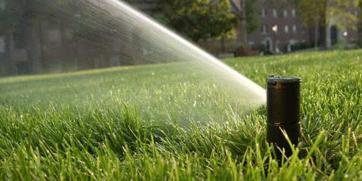 rain-bird-rotor-body-sprinkler-head-installed-by-naiad-irrigation-systems-watering-a-green-grassy-slope-close-up-525x263.jpg