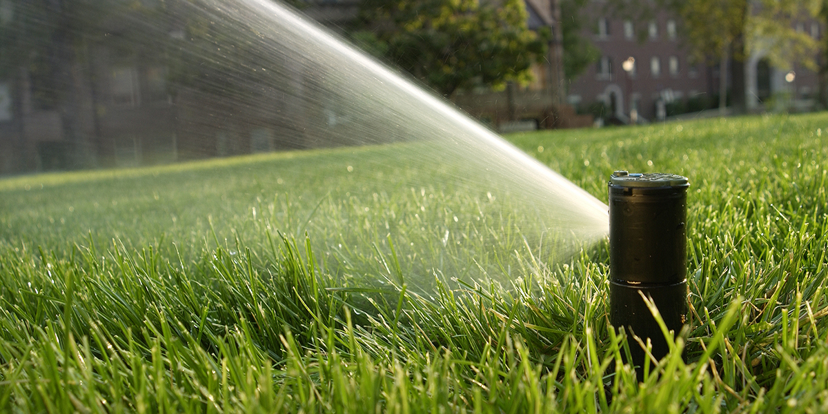 rain-bird-rotor-body-sprinkler-head-installed-by-naiad-irrigation-systems-watering-a-green-grassy-slope-close-up.jpg