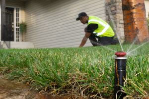 Rotor nozzle on a spray body sprinkler head in a green lawn with naiad irrigation systems service technician scaled 1 300x200