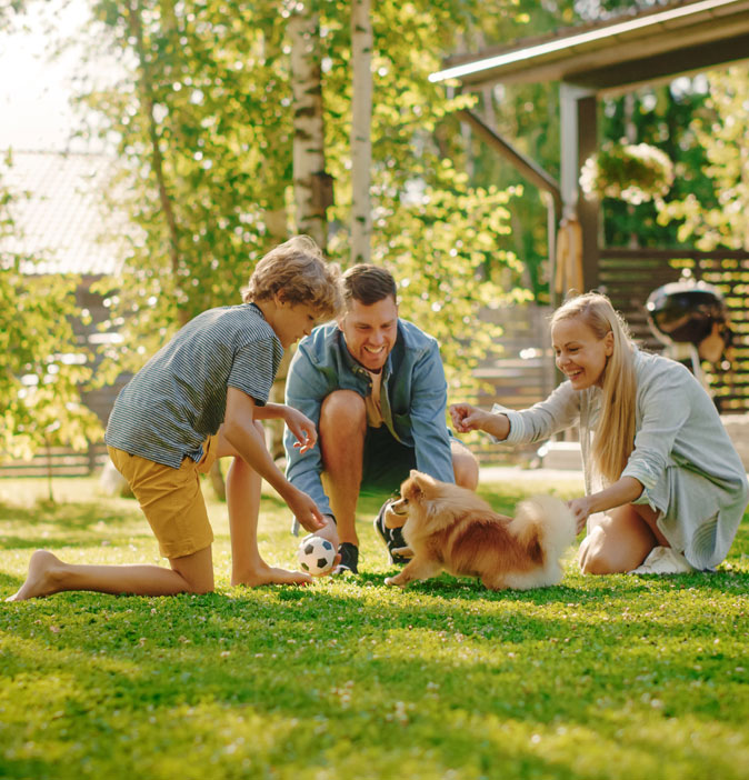 Family playing with dog on grass