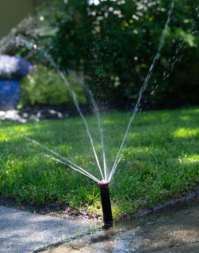 Lawn sprinkler spraying water