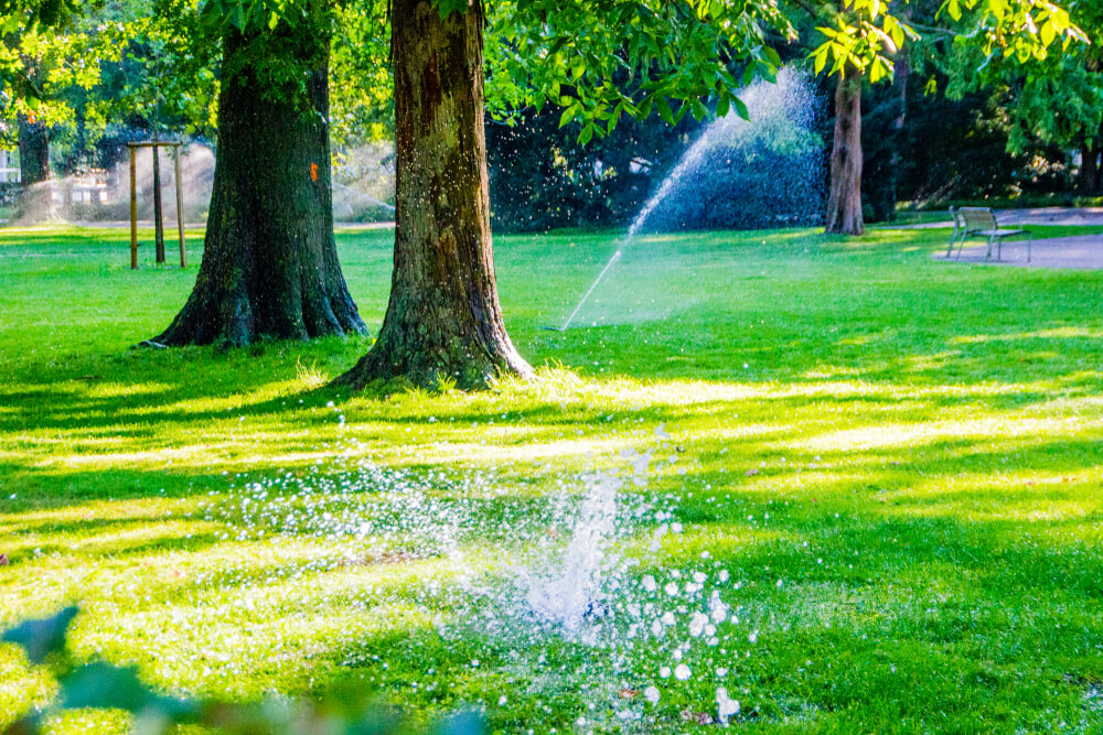 Leaking Sprinkler