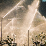 Winterize Your Sprinkler System