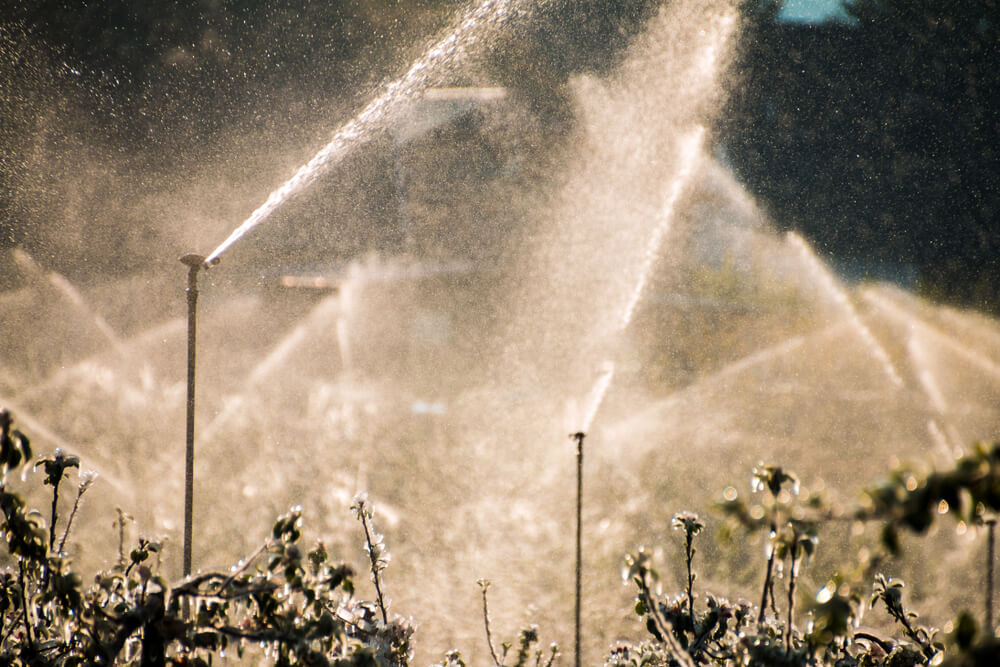 Winterize Your Sprinkler System