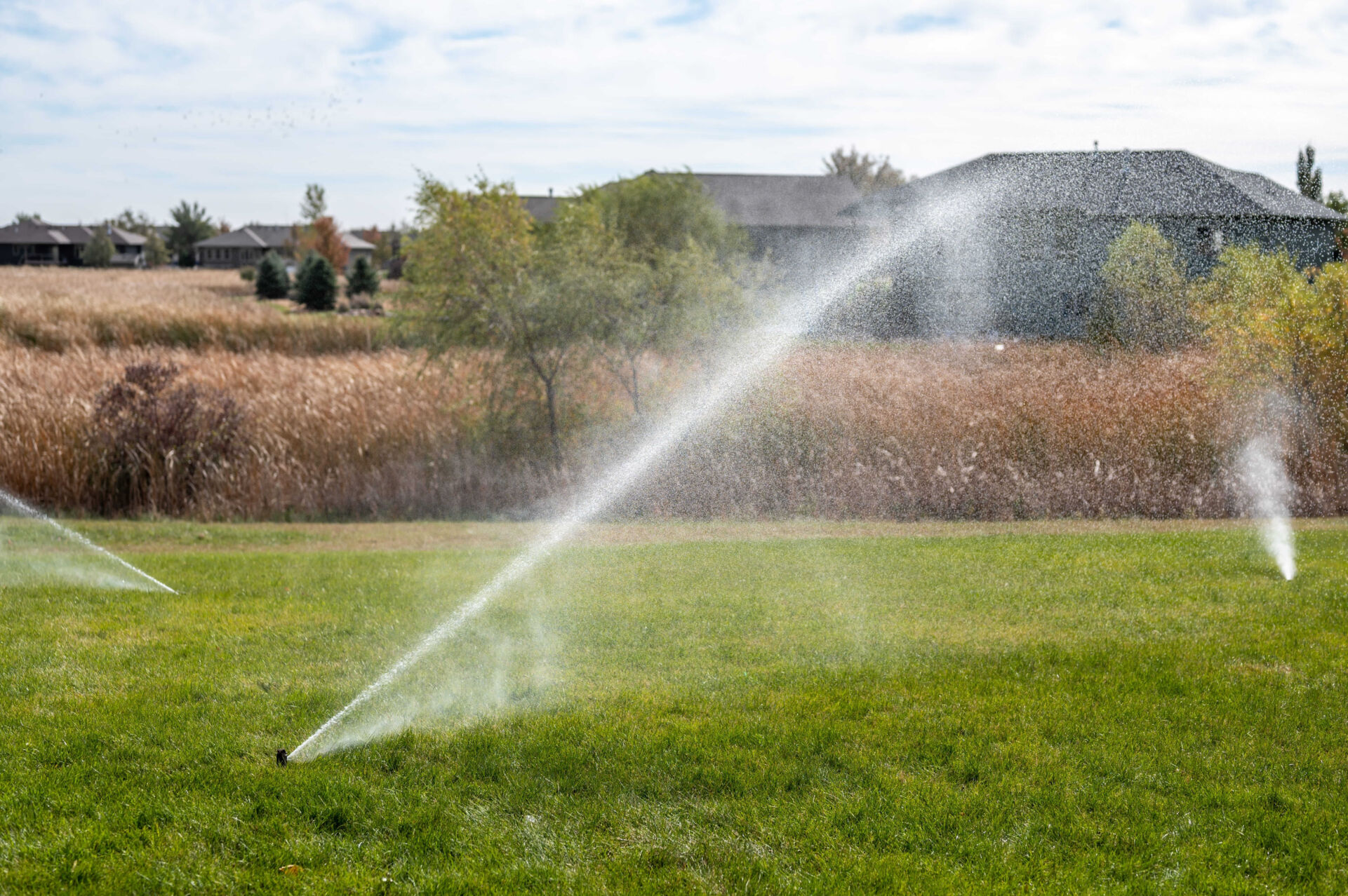 Irrigation Winterization Service