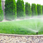 How to Choose an Irrigation System for Your Landscape